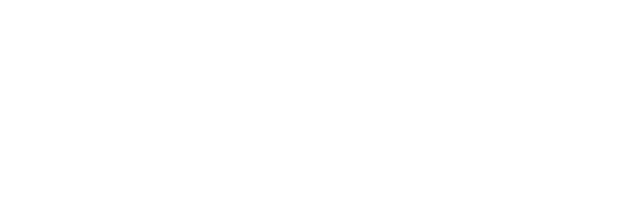 Primary Care Networks