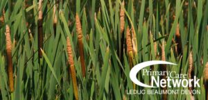 cattails with the Leduc Beaumont Devon Primary Care Network logo in the bottom right hand corner